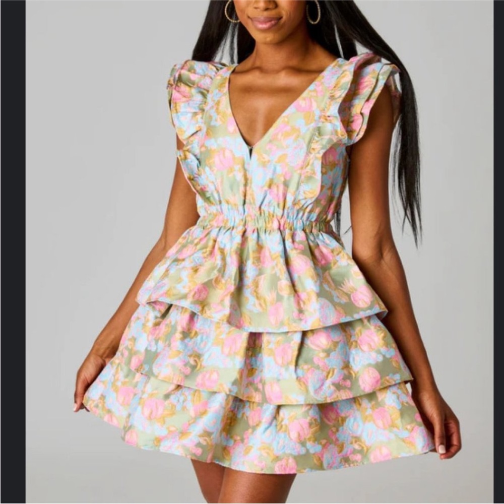 NWT Buddy Love Hudson Dress